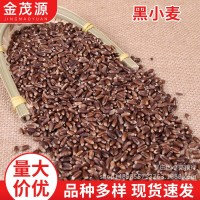 煮粥磨面做糕點原材料現(xiàn)貨批發(fā)農(nóng)家黑小麥磨面 五谷雜糧黑小麥
