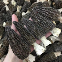 云南特產(chǎn)新鮮剪柄食用蘑菇干貨包裝大量批發(fā)頭茬一件批發(fā) 羊肚菌