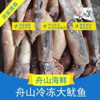 正宗舟山海捕野生冷凍大魷魚 冷鏈運輸 量大從優(yōu)