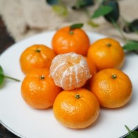 有機(jī)砂糖桔廣西沙糖桔橘子新鮮無(wú)籽蜜橘批發(fā)產(chǎn)地直銷當(dāng)季水果