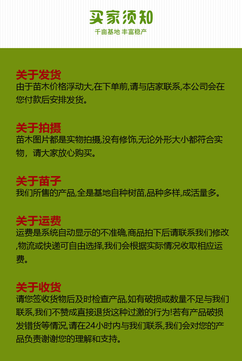 香椿苗-副本_09.jpg
