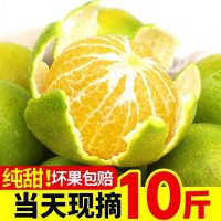 廣西皇帝柑大果新鮮現(xiàn)摘5斤沃柑椪柑水果當(dāng)季整箱貢桔橘子