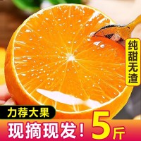愛(ài)媛38號(hào)果凍橙四川薄皮手剝爆甜柑橘桔子當(dāng)季時(shí)令新鮮水果