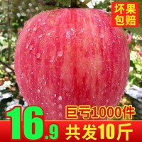 蘋果水果冰糖心10斤紅富士新鮮當季整箱陜西丑蘋果脆甜一件批發(fā)