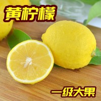 四川安岳黃檸檬當(dāng)季新鮮水果一級(jí)果皮薄批發(fā)尤力克檸檬奶茶店代發(fā)