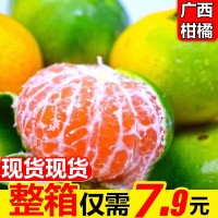 批發(fā)廣西水果一件代發(fā)新鮮橘子水果蜜橘柑橘薄皮青皮桔子砂糖桔