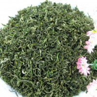 2022年茶葉春茶新茶產(chǎn)地工廠批發(fā)烏山春云霧茶湖北英山毛尖綠茶