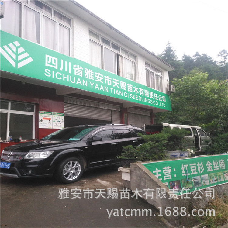 公司辦公樓1.jpg
