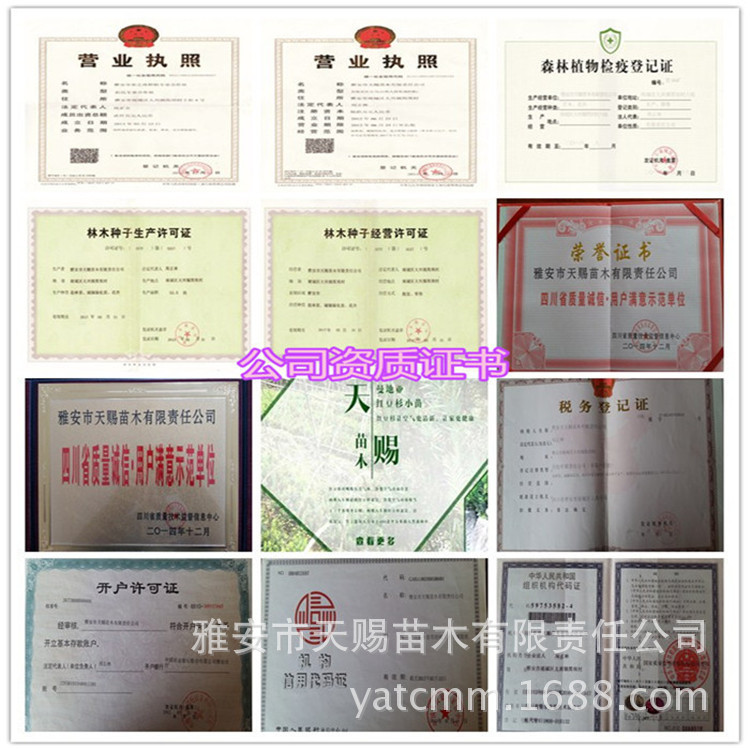 公司資質(zhì)證書