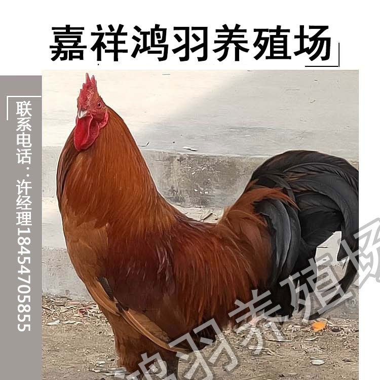 1_01.jpg