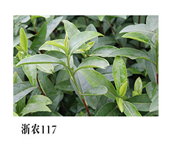 掌柜推薦1