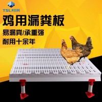 雞用漏糞板 塑料漏糞板 現(xiàn)貨供應(yīng) 復(fù)合材料家禽用養(yǎng)殖設(shè)備