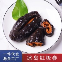 一手貨源 冰島俄羅斯海參非紅極參干貨 冰島紅極參即食500g可代發(fā)