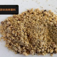 批發(fā)香辣孜然味燒烤料蘸料調(diào)味品烤肉撒料
