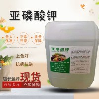 現(xiàn)貨供應(yīng)緩沖劑原液亞磷酸鉀 控梢保花果葉面水溶肥亞磷酸鉀