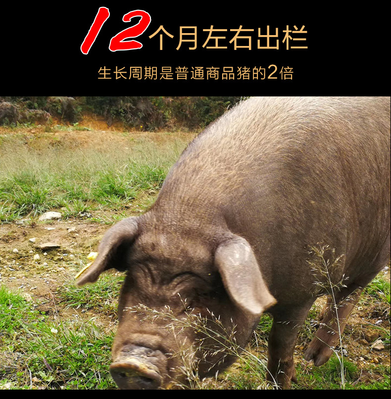 臘肉詳情頁-后腿肉_10.jpg