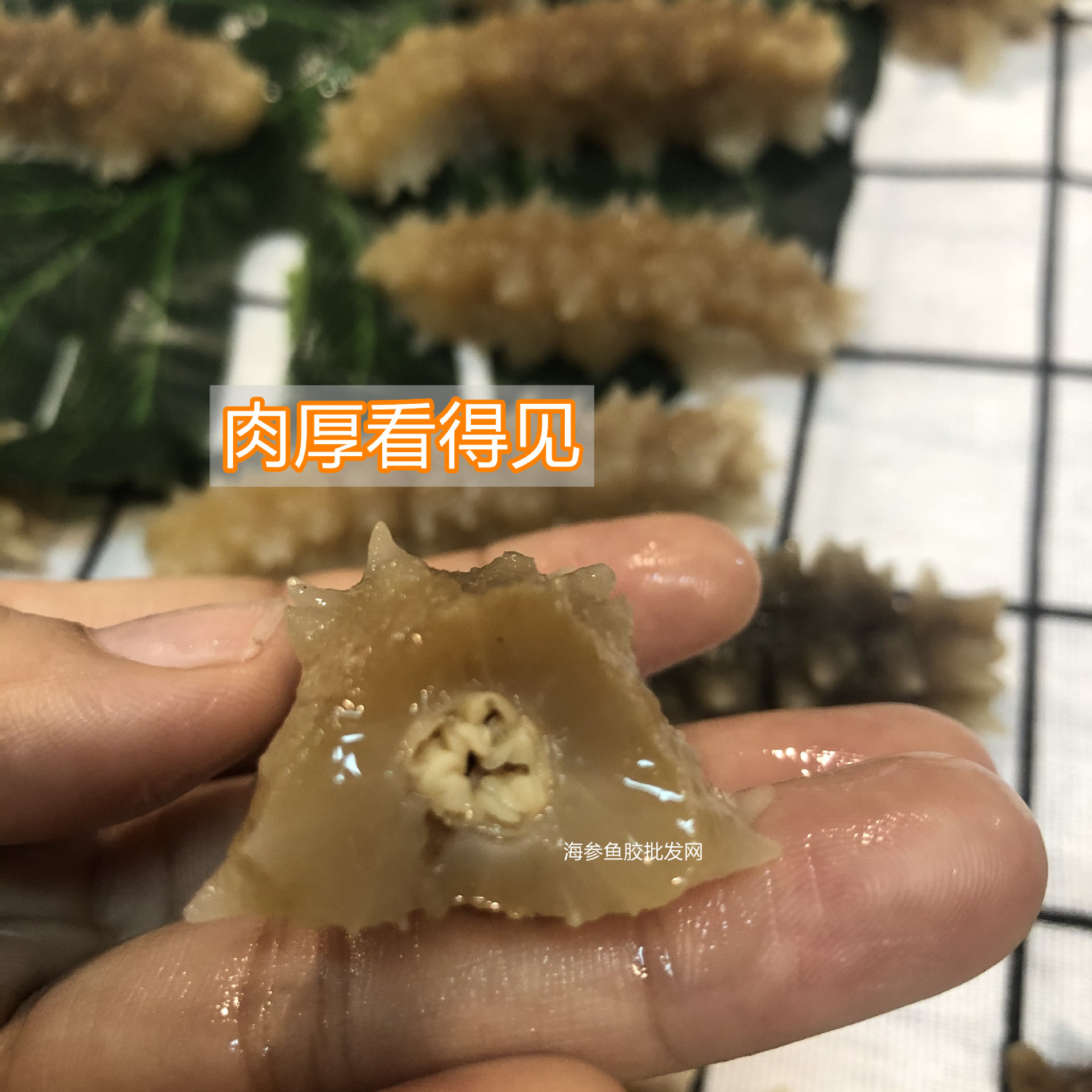 微信圖片_20210929113727_副本