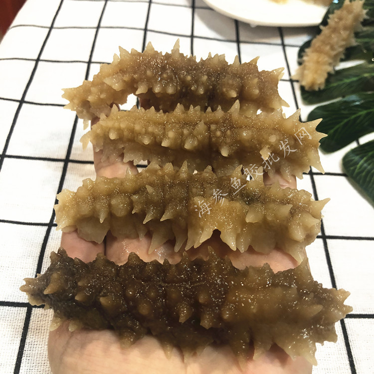 微信圖片_20210929113649_副本