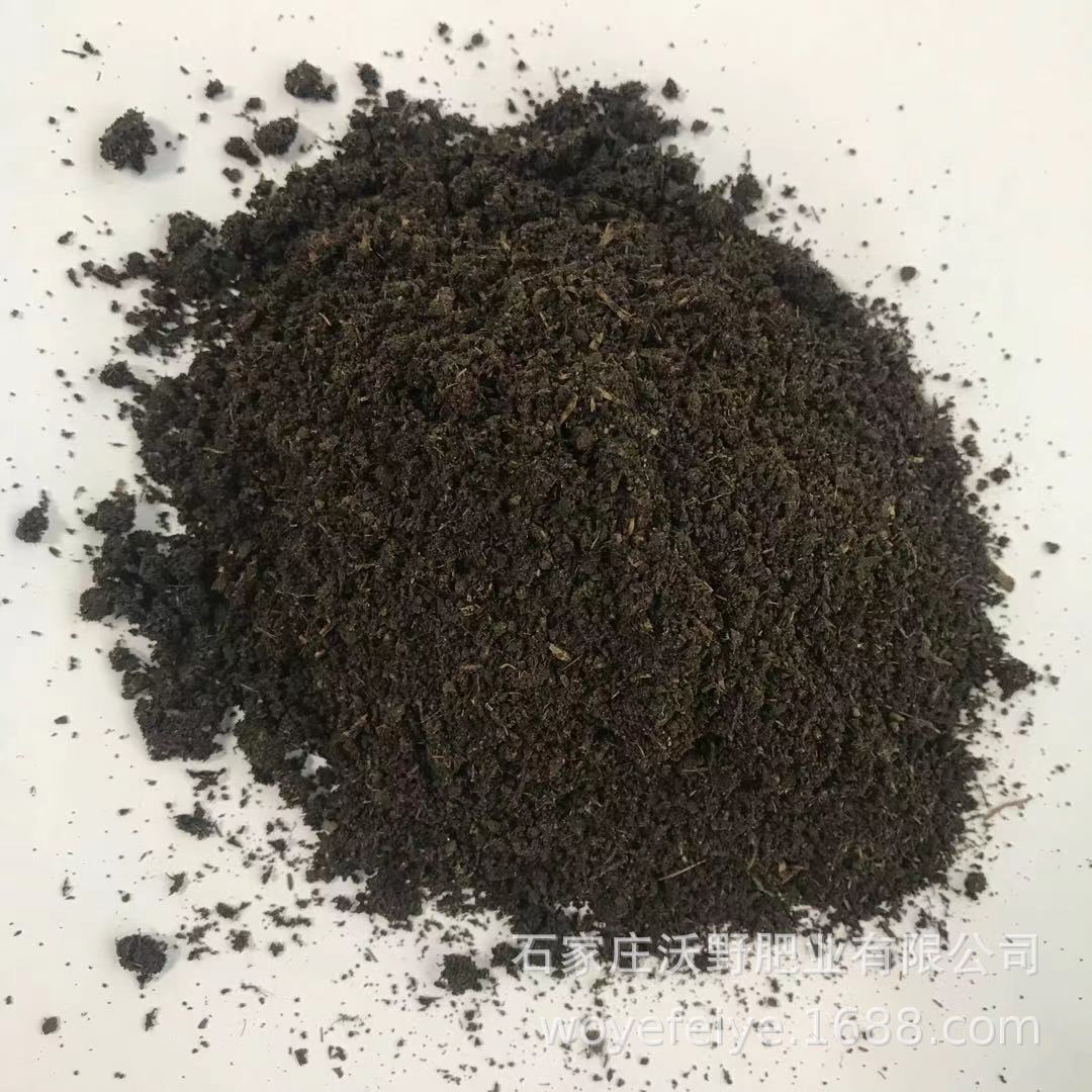 羊糞