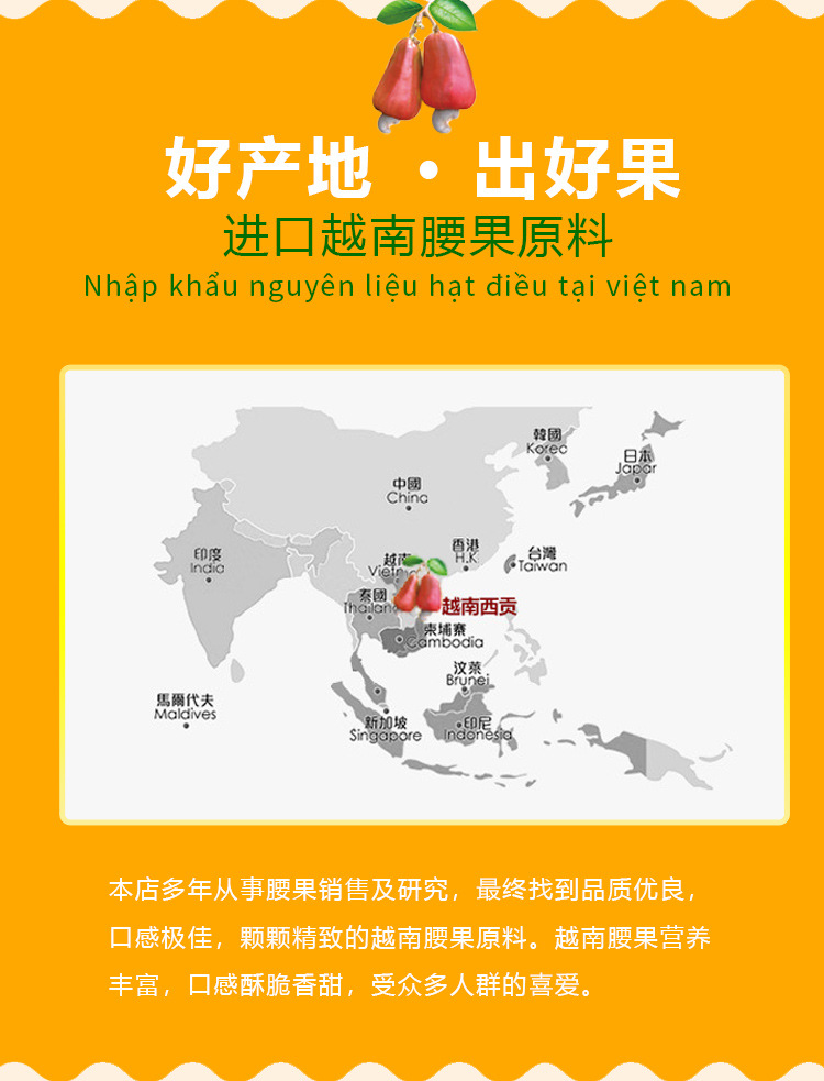 腰果精選_05