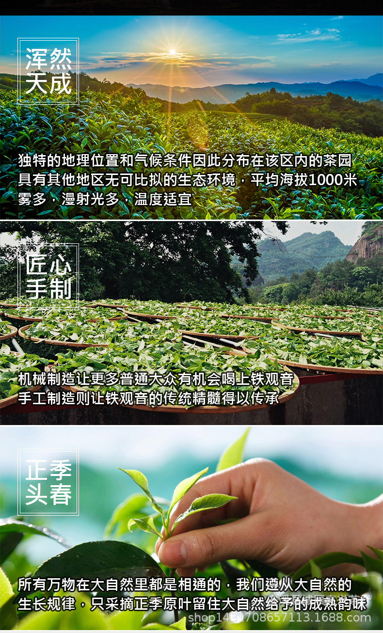 9罐送茶具正山小種_02.jpg
