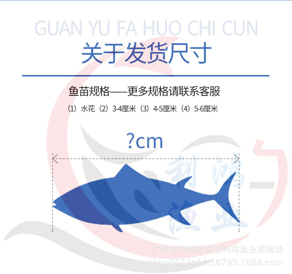 2尺寸圖