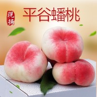 桃子現(xiàn)貨北京平谷水蜜桃蟠桃5/2斤水蜜桃新鮮水果工廠包郵代發(fā)廠