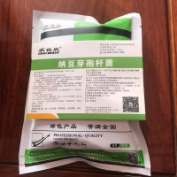納豆芽孢桿菌