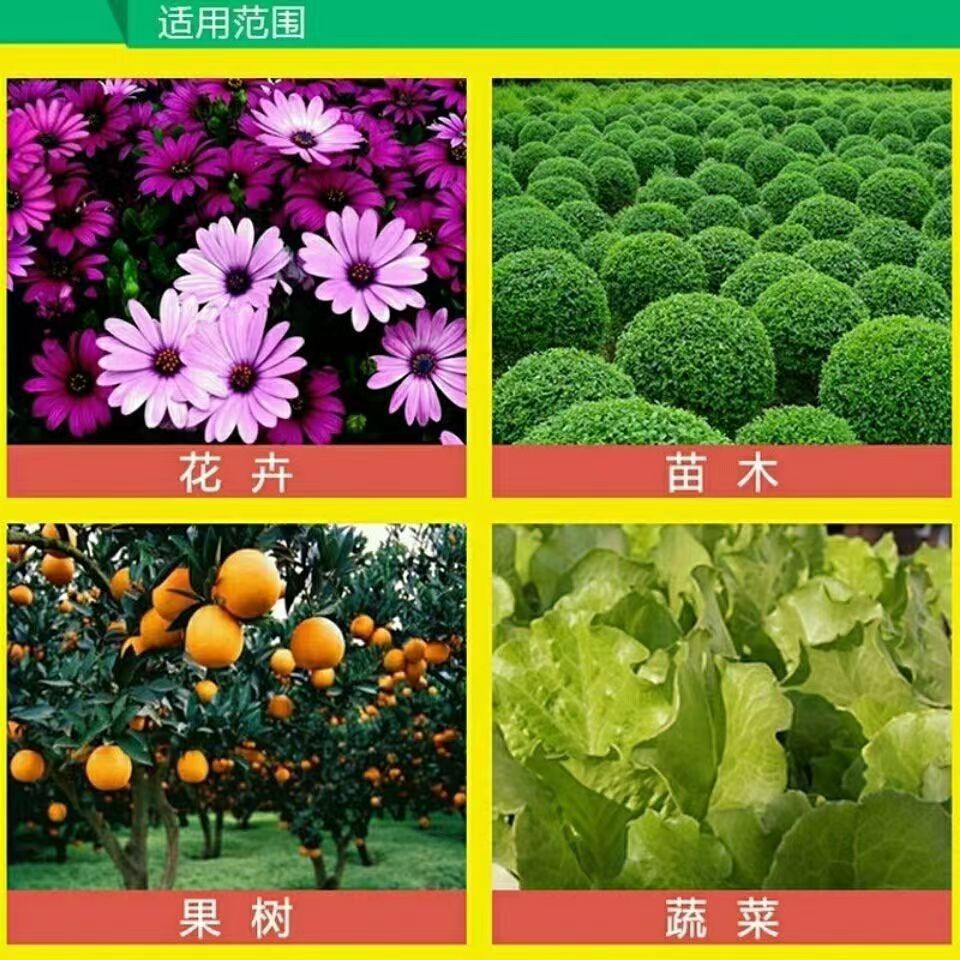 ed851626ba44c59eeeab17aba0e2cf
