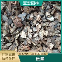 發(fā)酵松樹皮蘭花鐵皮石斛月季多肉栽培松樹皮基質園林裝飾廠家直銷