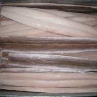 供應(yīng) 廠家直銷(xiāo) 長(zhǎng)期大量加工海鰻片,美鰩片,孔鰩片,黃舒魚(yú)
