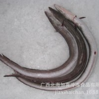 大量供應(yīng)優(yōu)質(zhì)鰻魚(yú) 冷藏鰻魚(yú)（圖）