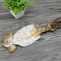 一箱20斤微咸魷魚(yú)干干貨500g克海鮮魷魚(yú)片干大魷魚(yú)