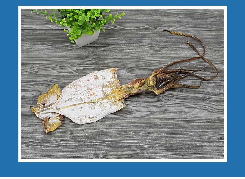 魷魚(yú)干純淡干特大_11