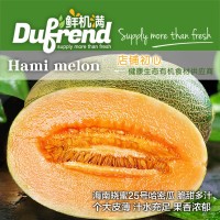 海南哈密瓜西州 新鮮蜜瓜孕婦水果新鮮包郵9斤當季整箱網(wǎng)紋瓜應季