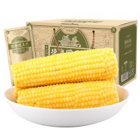 廠家直供德樂圓關(guān)東老味道有機(jī)糯玉米新鮮玉米棒200g*10盒真空