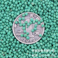 批發(fā)戶外馬蹄金種子金錢草垂吊心形銅錢草 多年生耐陰護(hù)坡草坪