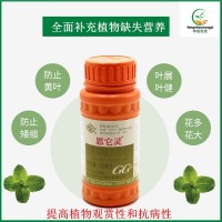 國(guó)光思它靈補(bǔ)充植物微量元素氨基酸水溶葉面肥促葉片返綠恢復(fù)花肥