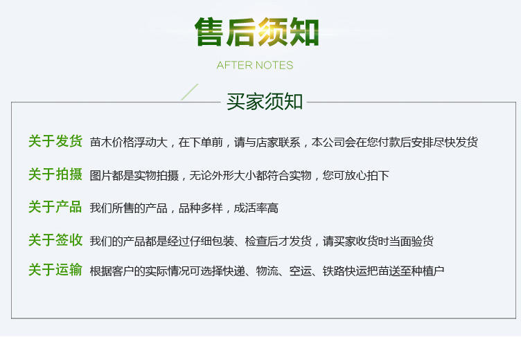 桃-詳情頁_10.jpg