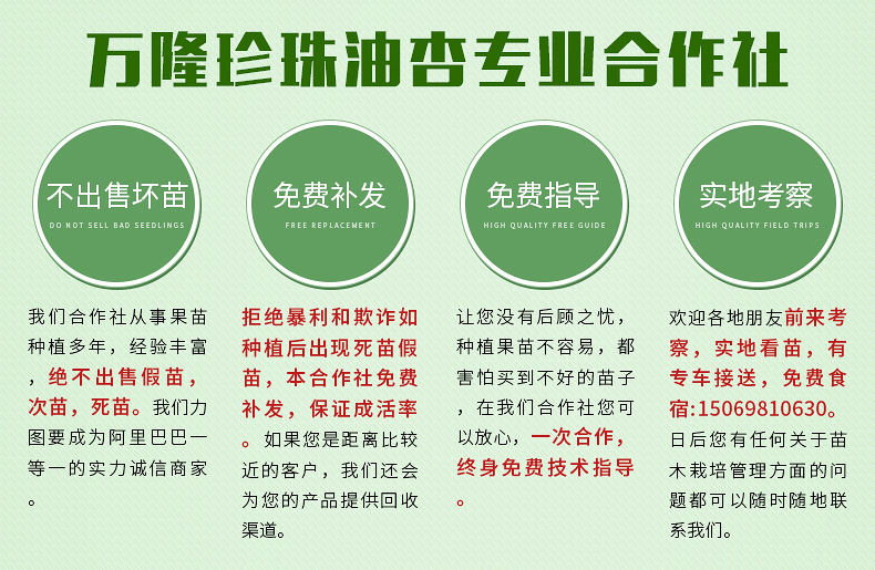 首圖0