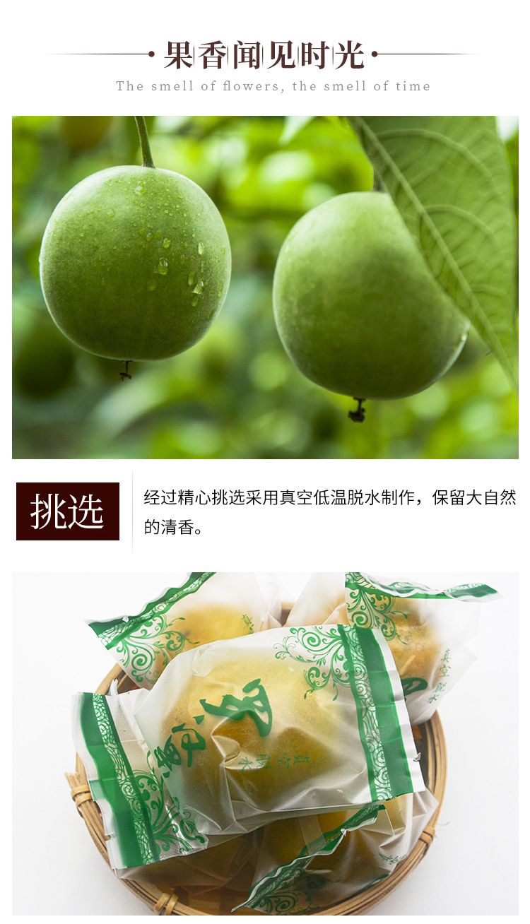 羅漢果_03.jpg
