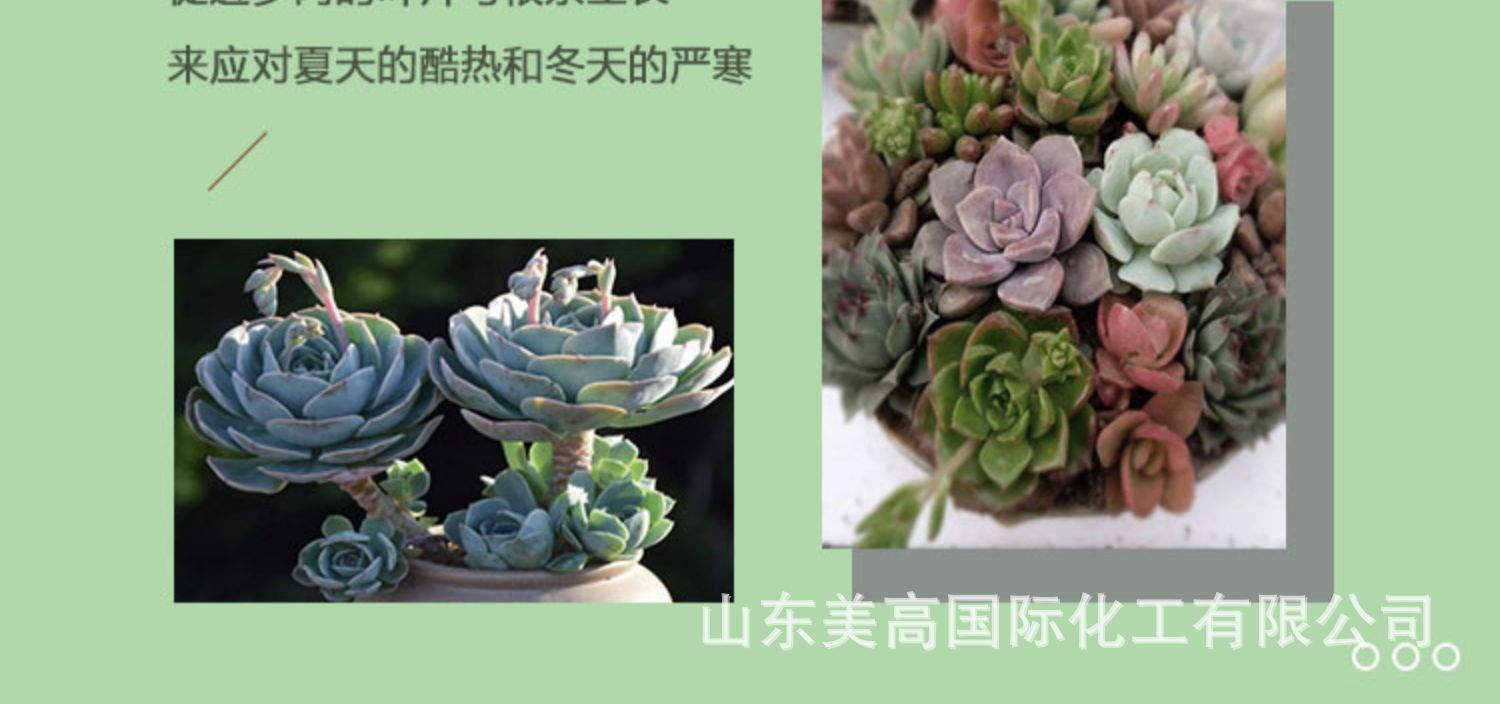 詳情圖片_07.jpg