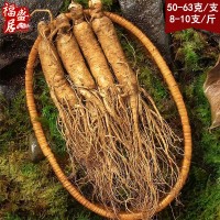 長白山人參 產(chǎn)地貨源泡酒煲湯參帶土鮮參現(xiàn)貨各種規(guī)格 鮮人參批發(fā)