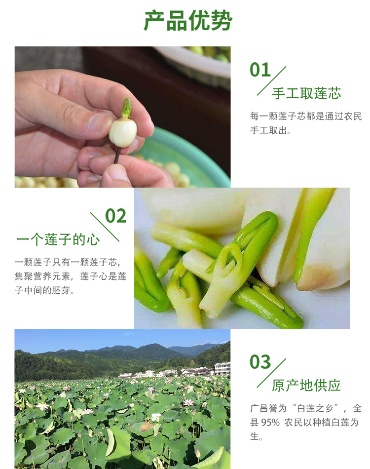 蓮芯888