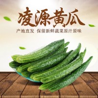 廠家批發(fā)產(chǎn)地直供新鮮嫩綠黃瓜4kg禮盒裝 健身輔食蔬菜沙拉餐食材