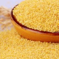 泥河灣有機桃花小米5斤黃小米小米粥小黃米 新小米雜糧粗糧熬粥