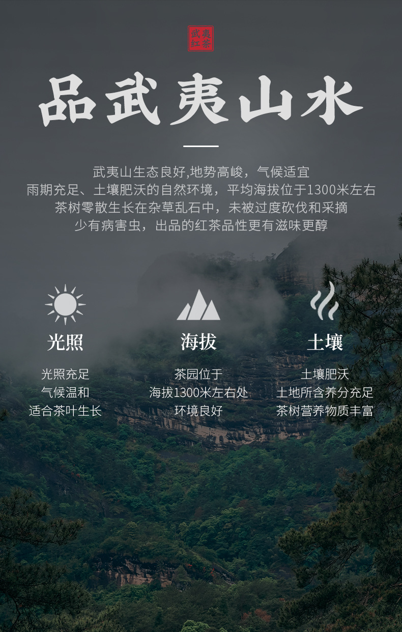 兮茗紅茶十組合_15.jpg