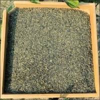廠家直營中國綠茶炒青綠茶片出口茶9380去異味甲醛奶茶袋泡茶原料