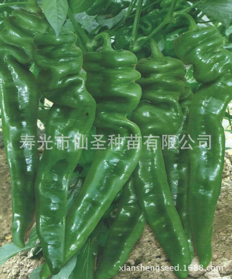 產(chǎn)品介紹