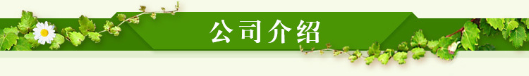 公司介紹